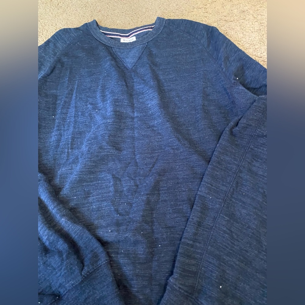Champion oversized sweat shirt. It’s blue.